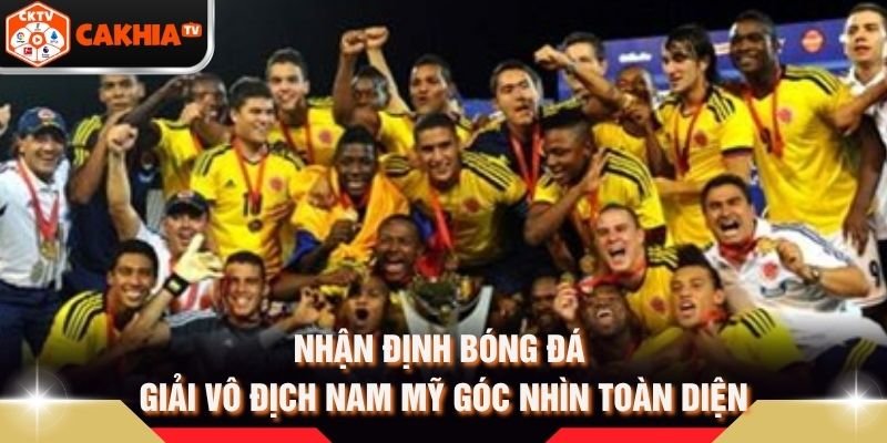 Nhận Định Bóng Đá Giải Vô Địch Nam Mỹ Góc Nhìn Toàn Diện